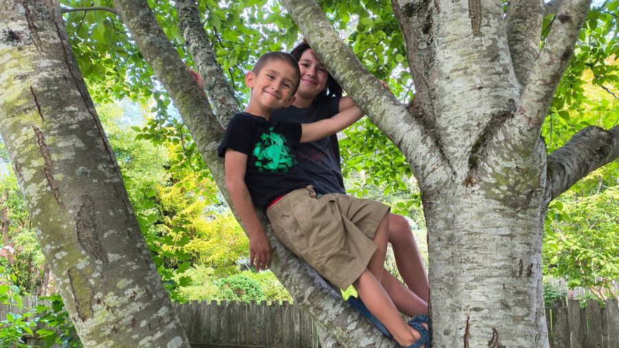 6-year-old boy dies bellingham beach...
