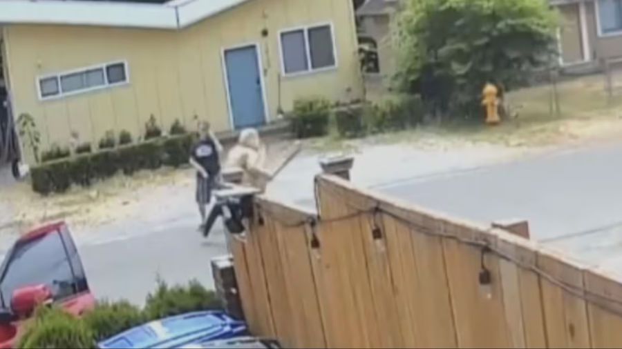 baseball bat attack video burien...