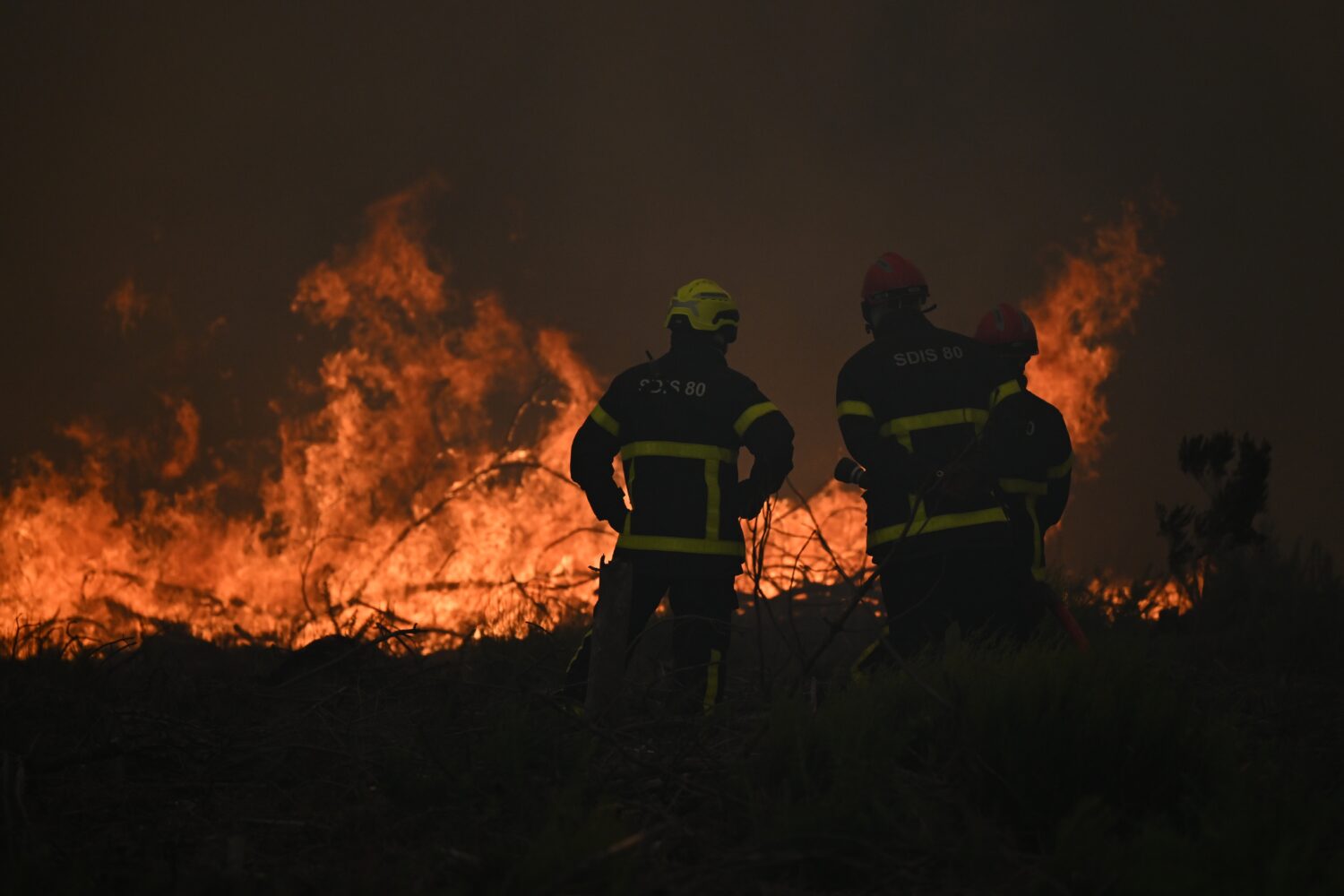 Firefighters spray water in a burning forest near Lacanau, southwestern France, Saturday, July 25, ...