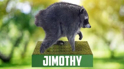 Jimothy bobblehead...