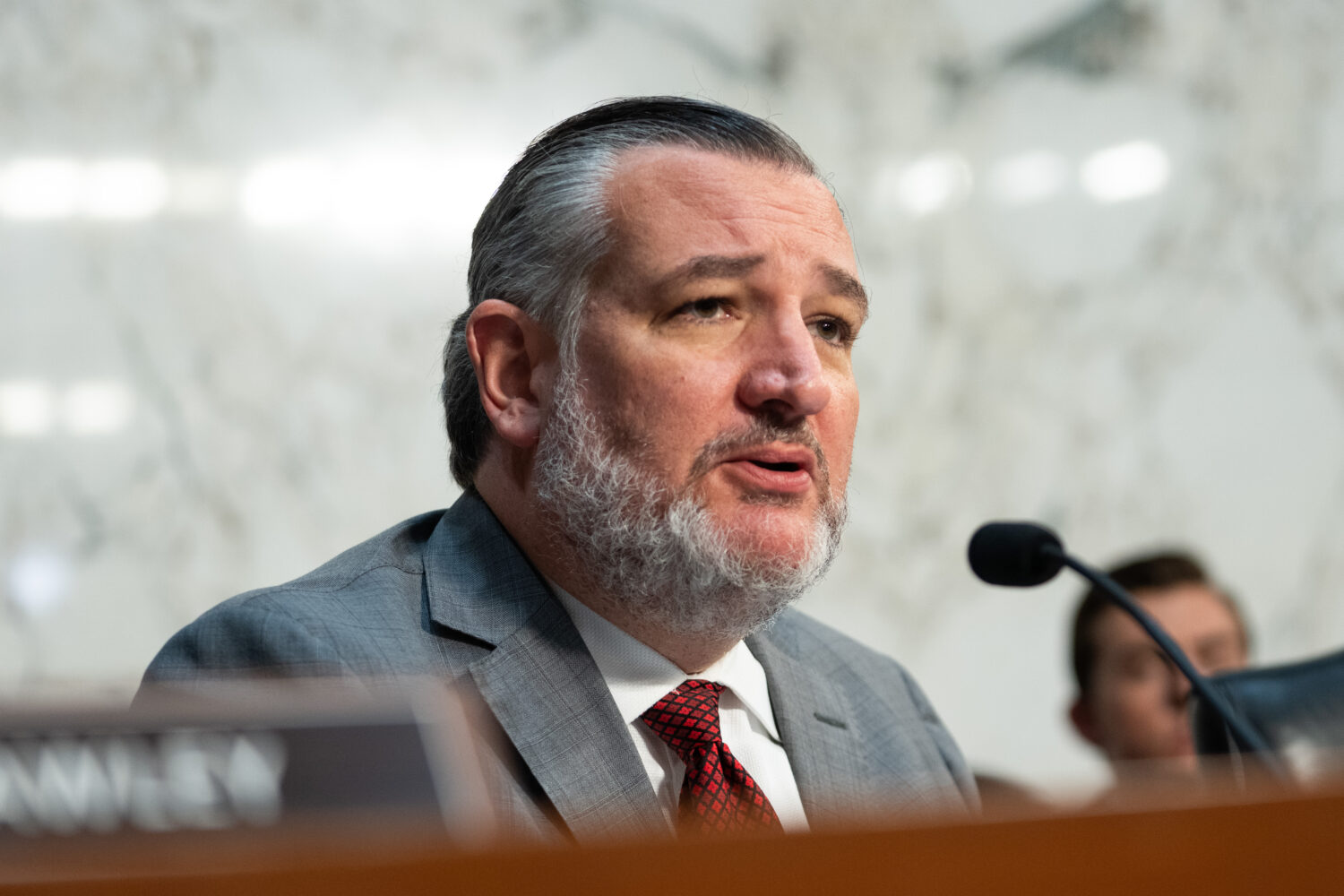 Sen. Ted Cruz, R-Texas, speaks at a Senate Judiciary Committee hearing with Acting Attorney General...