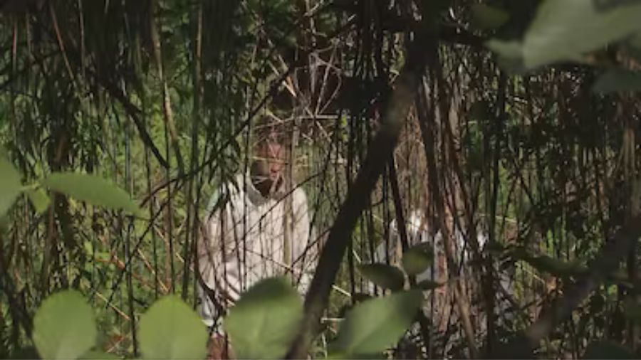 north seattle body found woods...