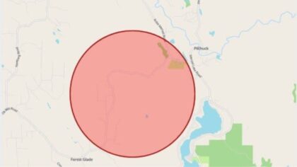 Snohomish dog shot...
