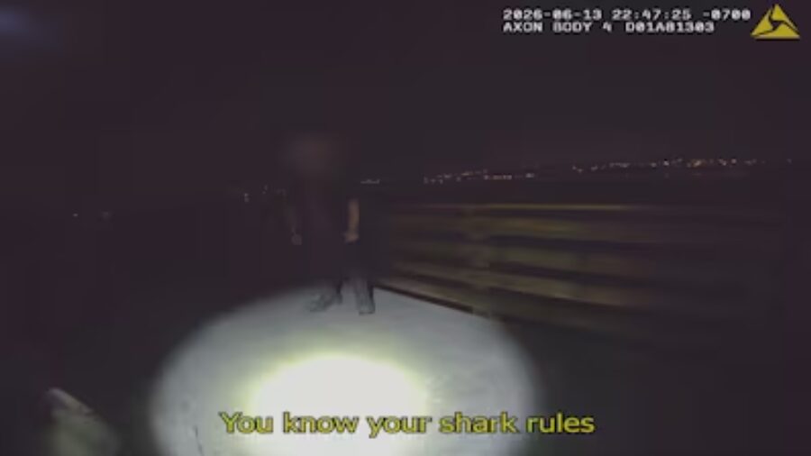 oregon shark man...