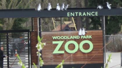 Woodland Park Zoo reopening after bomb threat, no bombs found