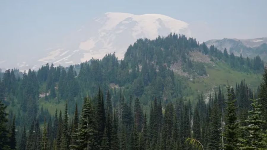 mount rainier white river sunrise wildfire...