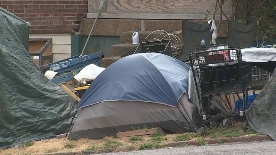 pierce county homelessness...