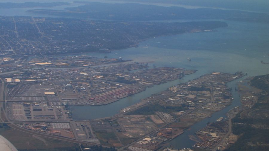 dead whale commencement bay...
