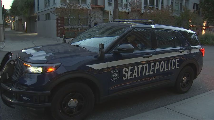 police chief seattle mayor search...
