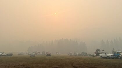 little giant fire priority wildfire...