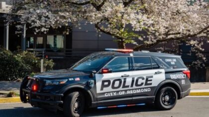 burien multi-car theft scheme...