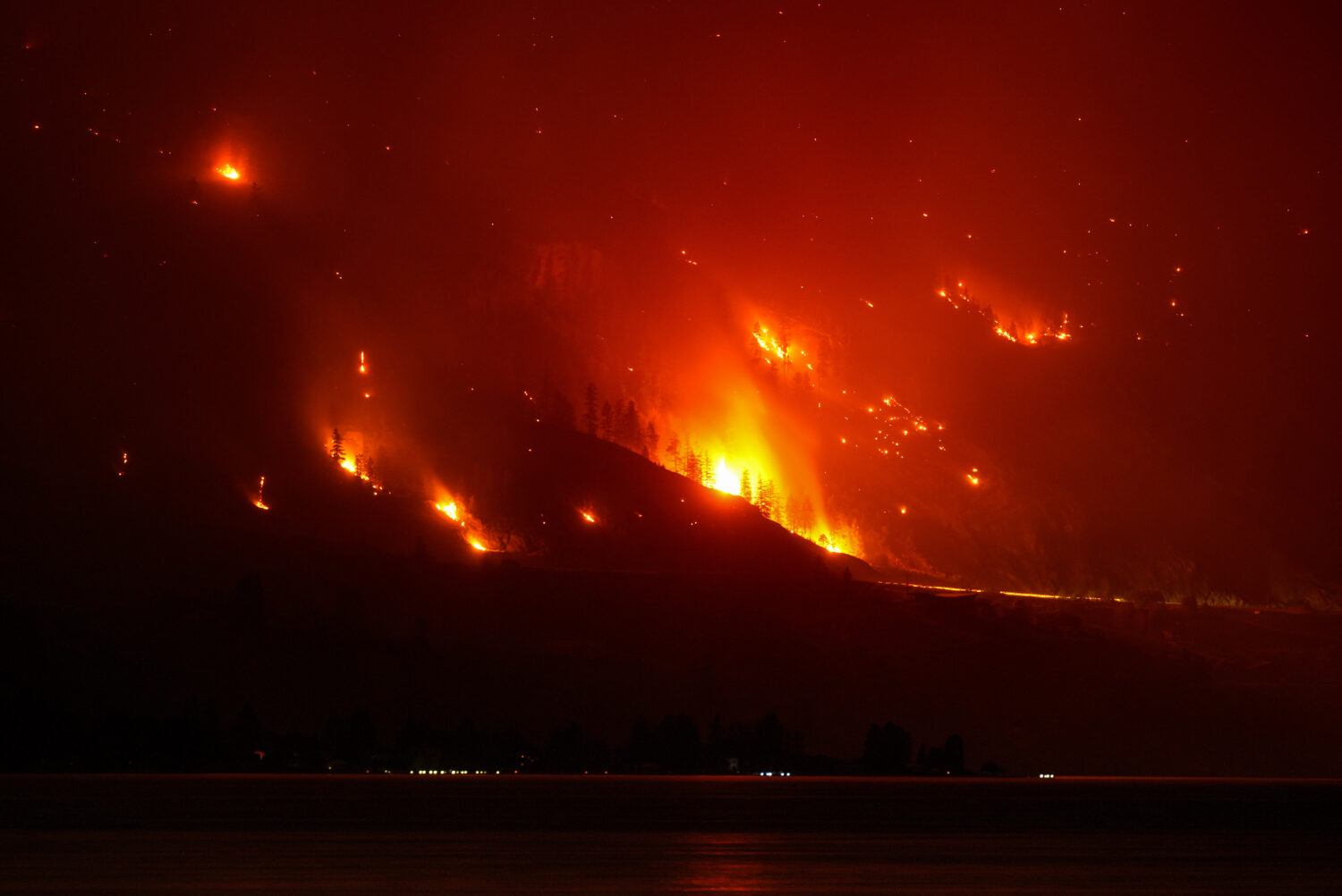 The Bald Range wildfire, that has forced people out of their homes in the south Okanagan region, bu...