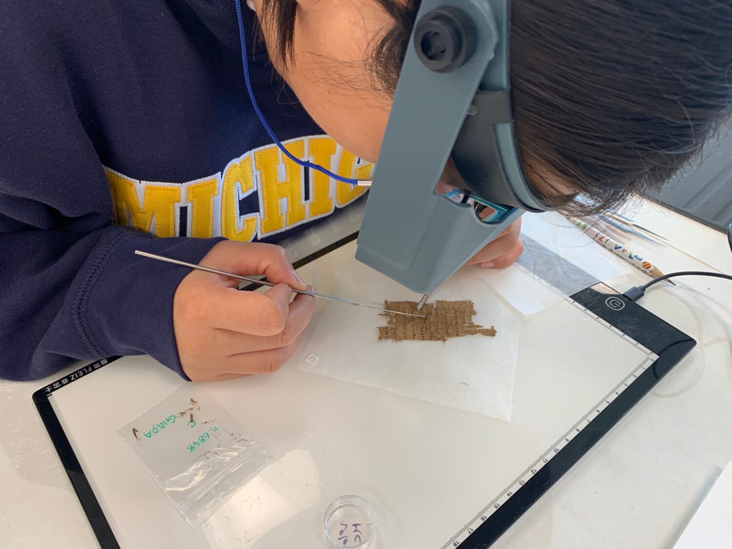 Papyrus Conservation Summer Seminar student Shijin (Giada) Jiang examines a papyrus fragment at the...