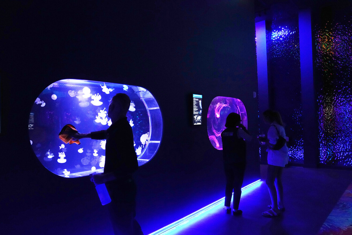 An employee cleans a display at the Jellyfish Museum, a facility that is home to about 20 unique sp...