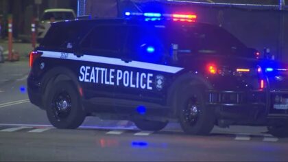 Seattle police investigate stabbing in Georgetown
