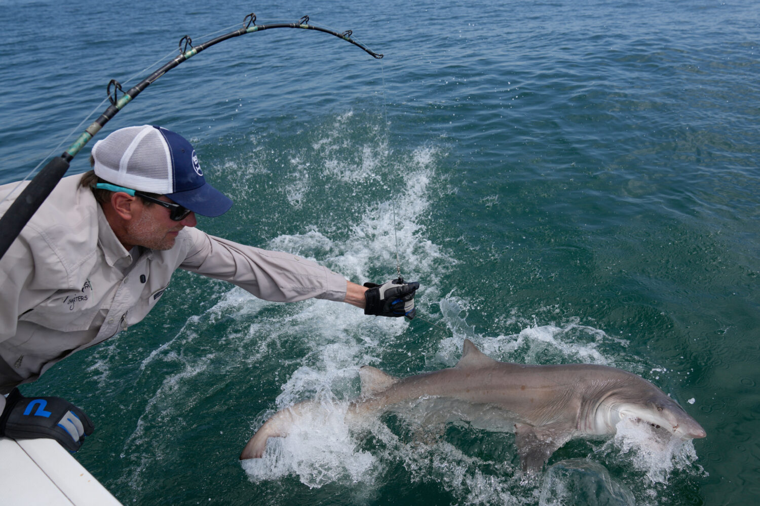 Greg Metzger, lead field biologist for SOFO's shark research and education program, catches a sand ...