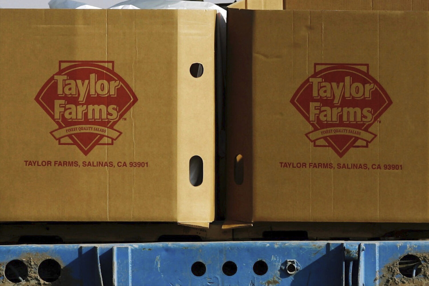 FILE - Taylor Farms boxes are loaded on a field in the town of Doctor Mora, on the central state of...