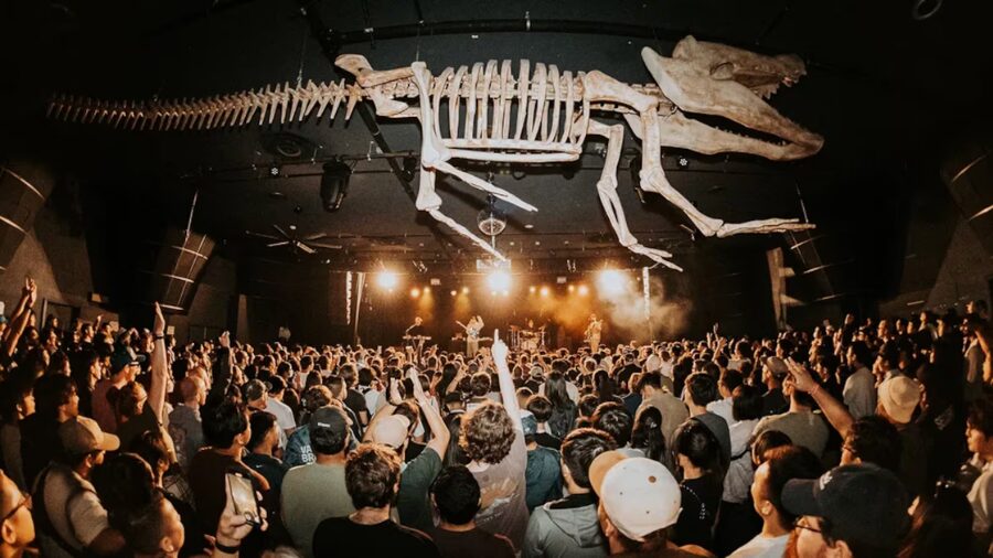 The Crocodile...
