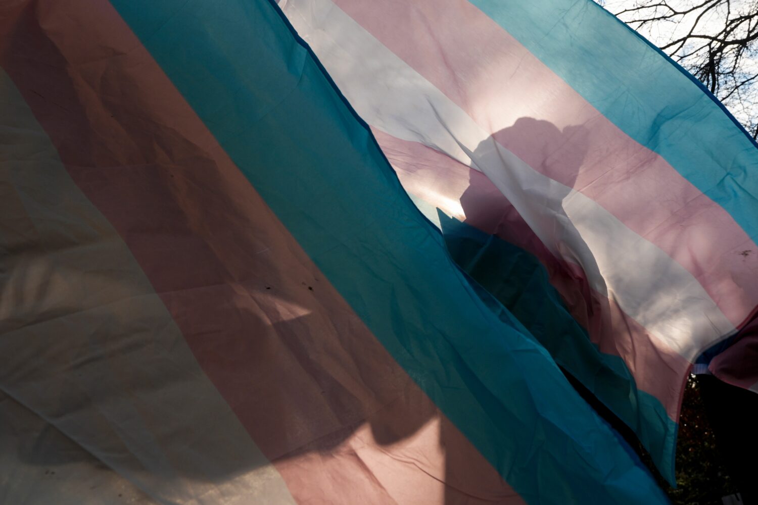 FILE - A protester is silhouetted against a trans pride flag during a pro-transgender rights protes...