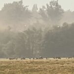 Spokane wildfire smoke photos