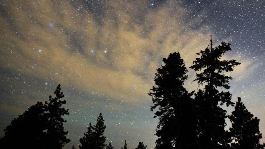 perseid meteor shower...