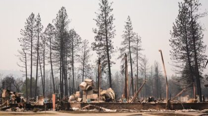 ferguson wildfire resources laws...