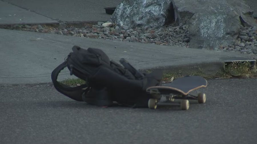 hit-and-run lake union skateboarder...