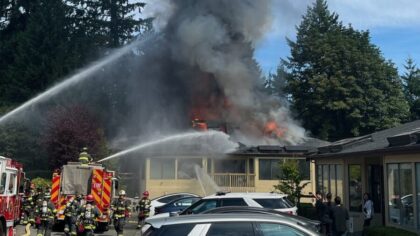 bellevue fire...
