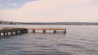 paddleboarder Lake Washington...