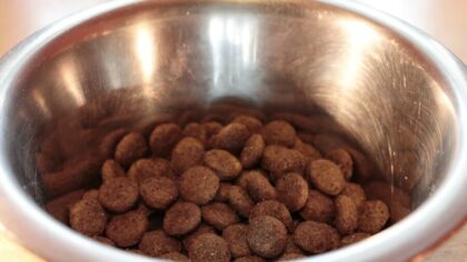 pet food...