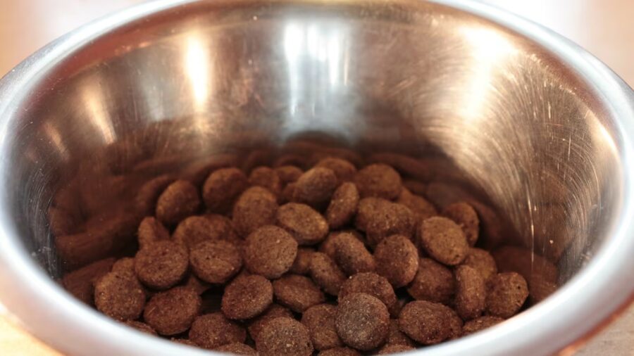 pet food...