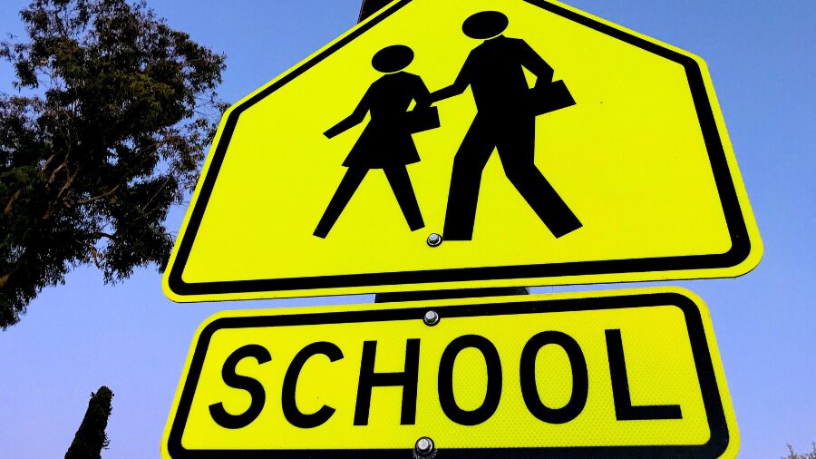 school speed cameras...