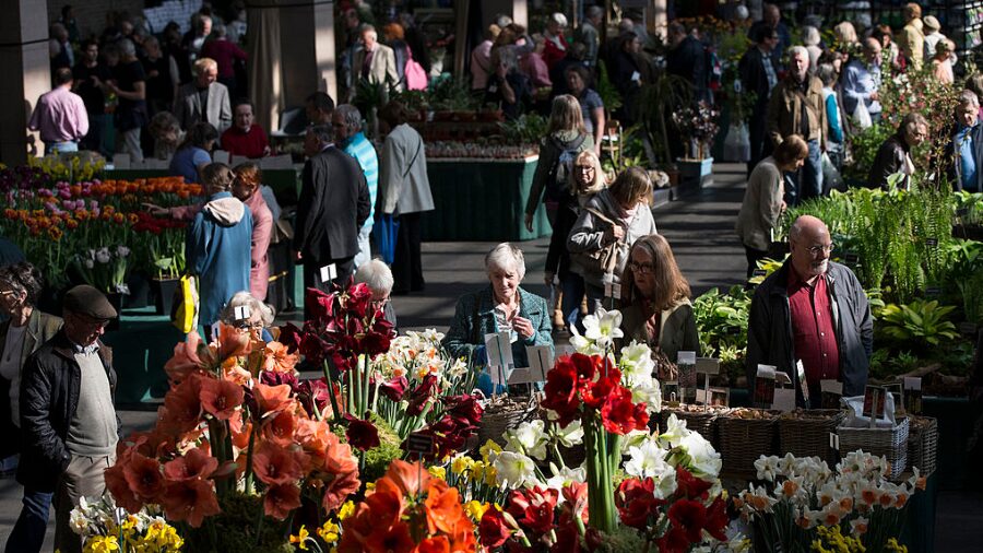 seattle weekend events...