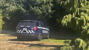 west seattle shooting