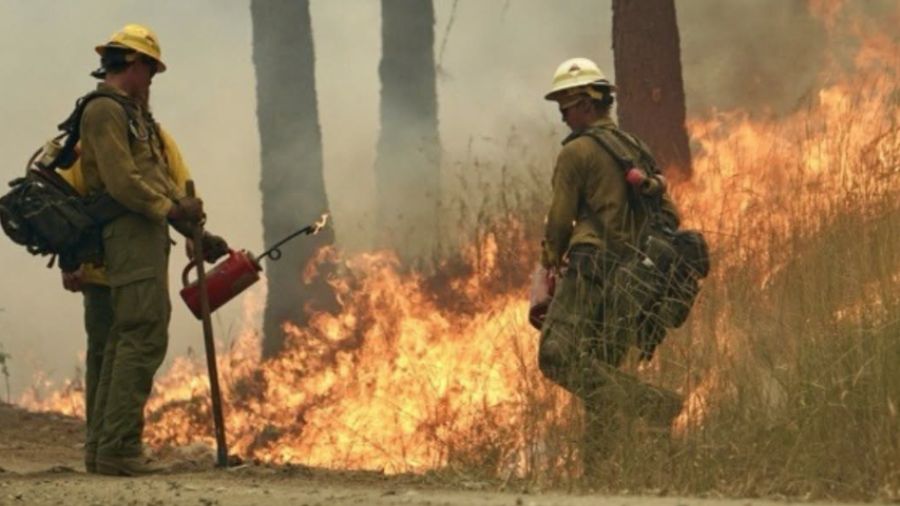 Crews working the front lines of a wildfire in eastern Washington. (Photo: WA. Dept. of Natural Resources)