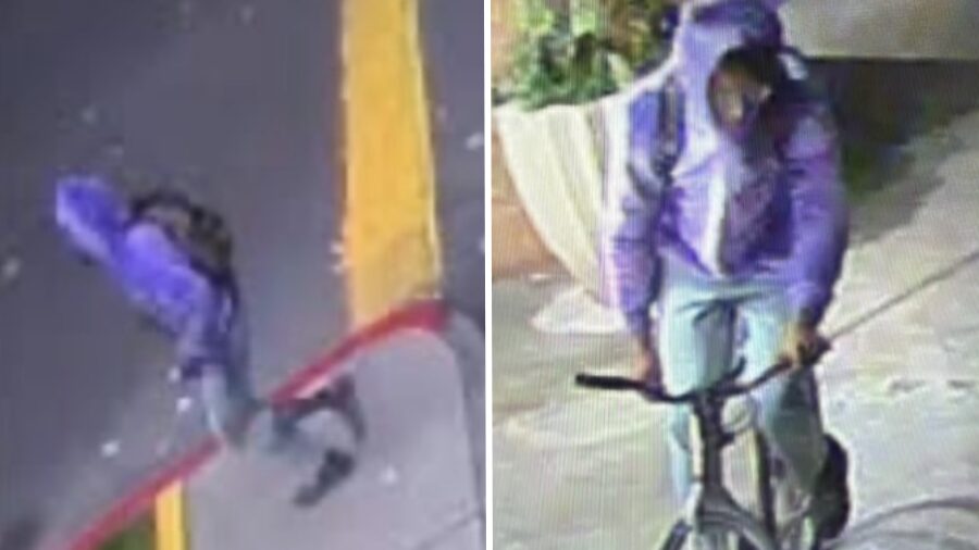 1 renton suspect...