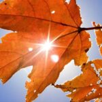 Grab a sweater! Fall weather sets in this week