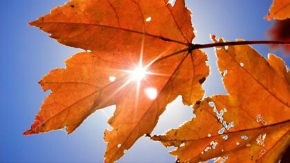 fall weather week...