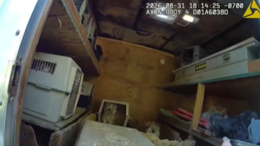 hoarding dogs court date...