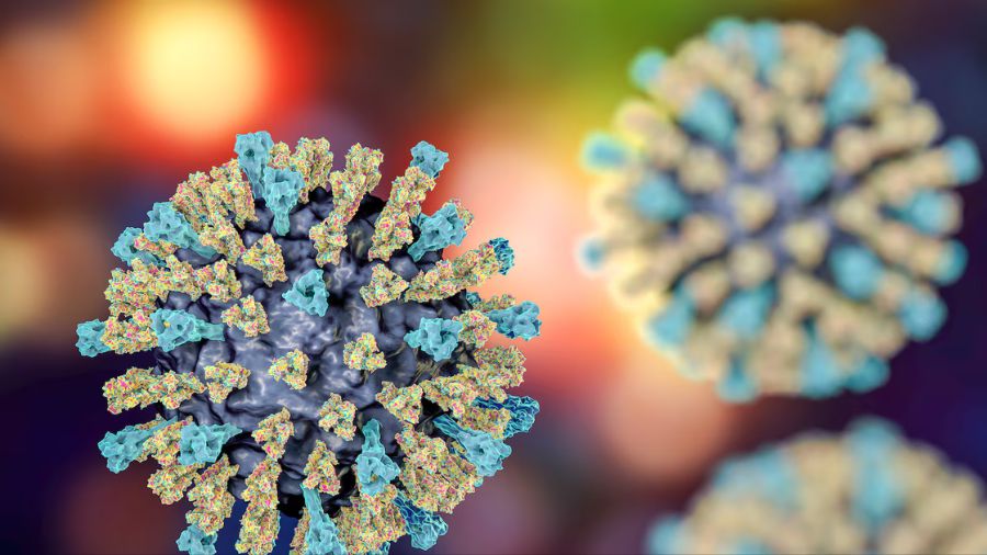 measles battle ground school...