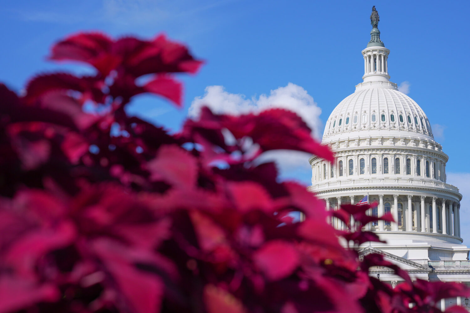 The U.S. Capitol is seen Friday, Sept. 18, 2026, in Washington. (AP Photo/Mariam Zuhaib)Credit: AP ...