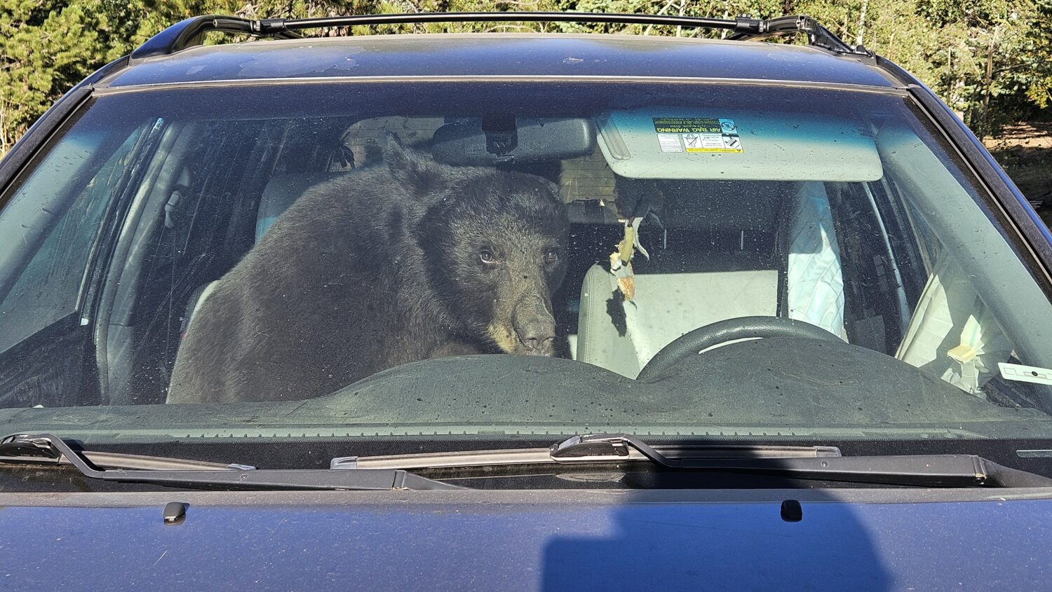A bear sits in a car after getting stuck inside of it Sunday, July 19, 2026 in Gold Hill, Colo. (Pa...