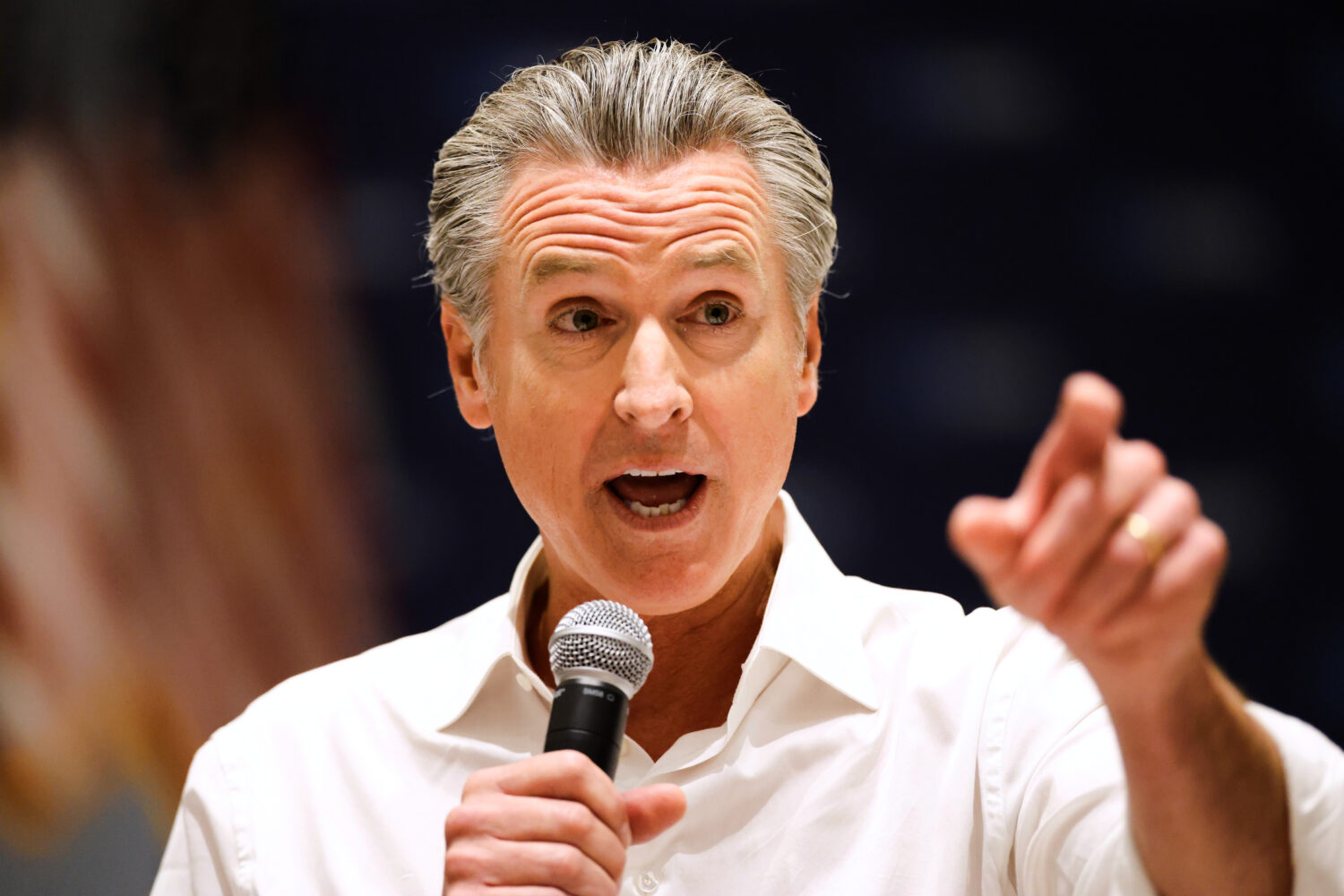 California Gov. Gavin Newsom speaks at a rally for democratic candidates Saturday, Sept. 5, 2026, i...