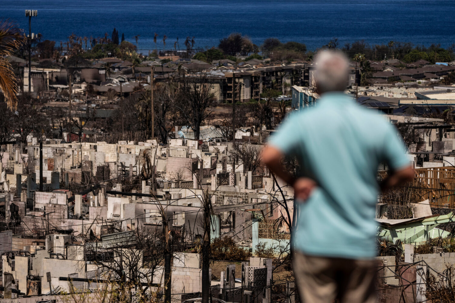 FILE - A man views the aftermath of a wildfire in Lahaina, Hawaii, Aug. 19, 2023. (AP Photo/Jae C. ...