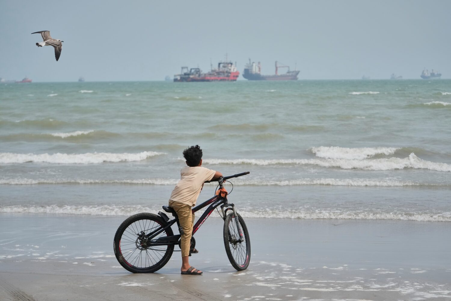 A gull flies overhead as a boy stands with his bicycle on a beach overlooking commercial vessels an...