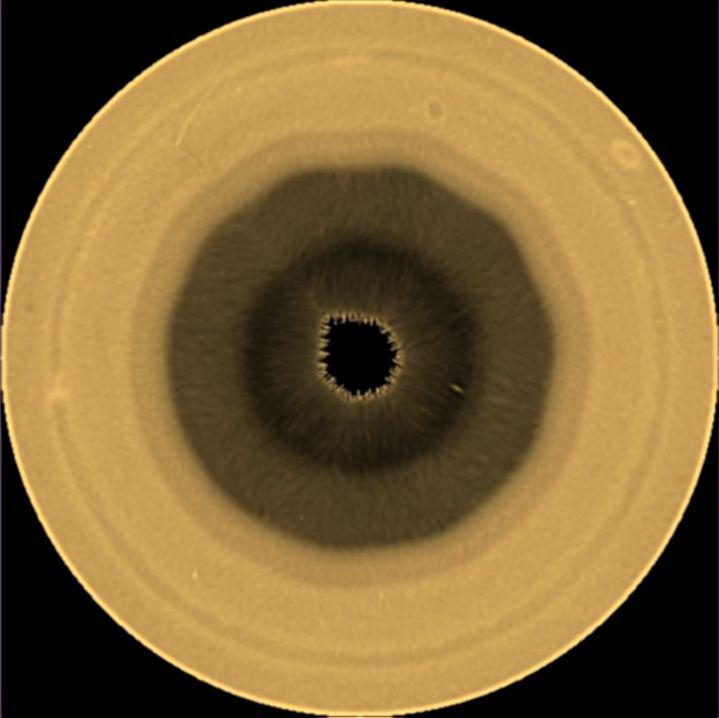 This photo provided by NASA/ESA/A. Sánchez-Lavega (Basque Country University) shows a pattern of c...