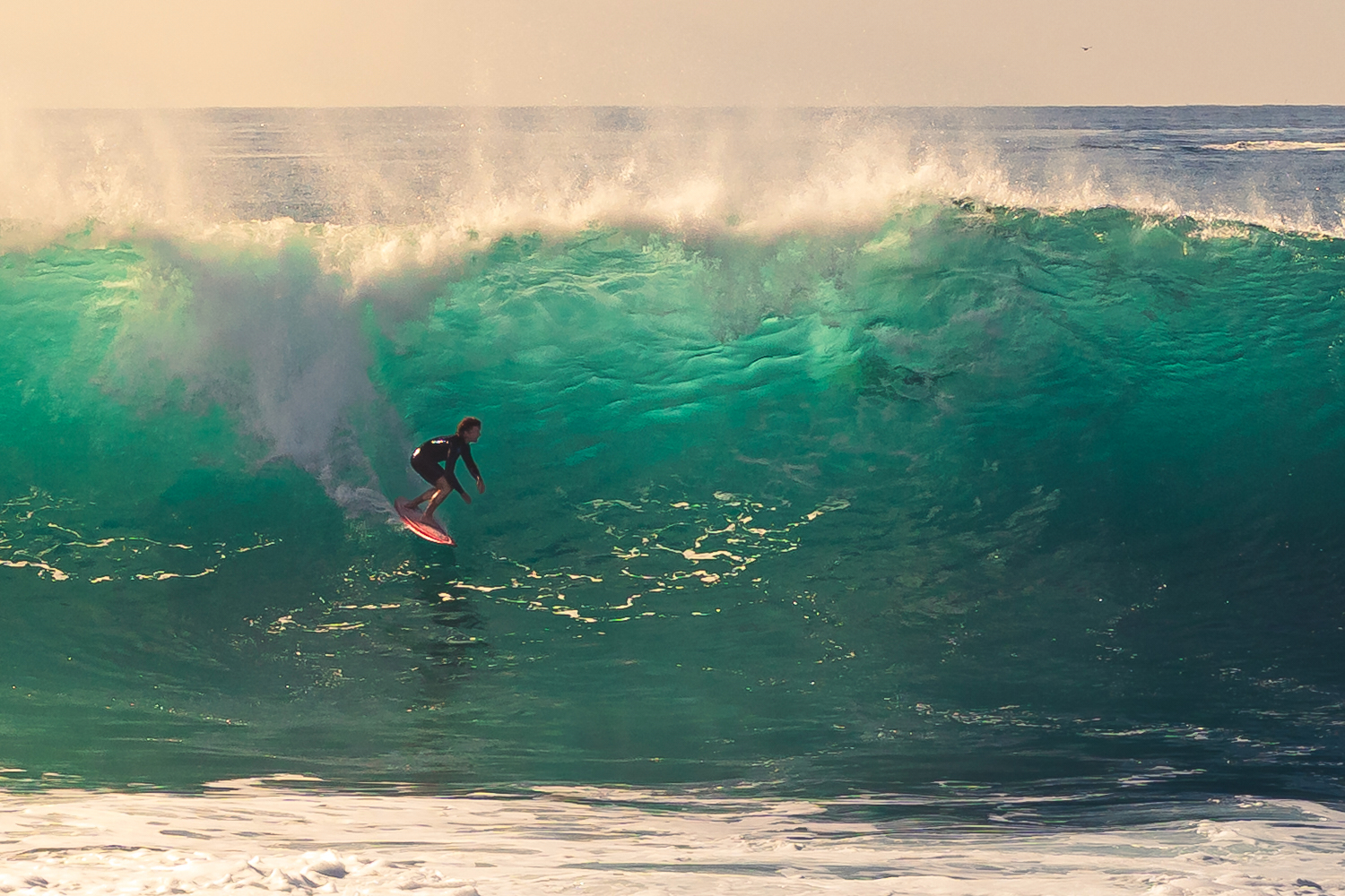 This photo provided by Steve Hague shows a surfer at Newport Beac, Saturday, Sept. 5, 2026, in Newp...