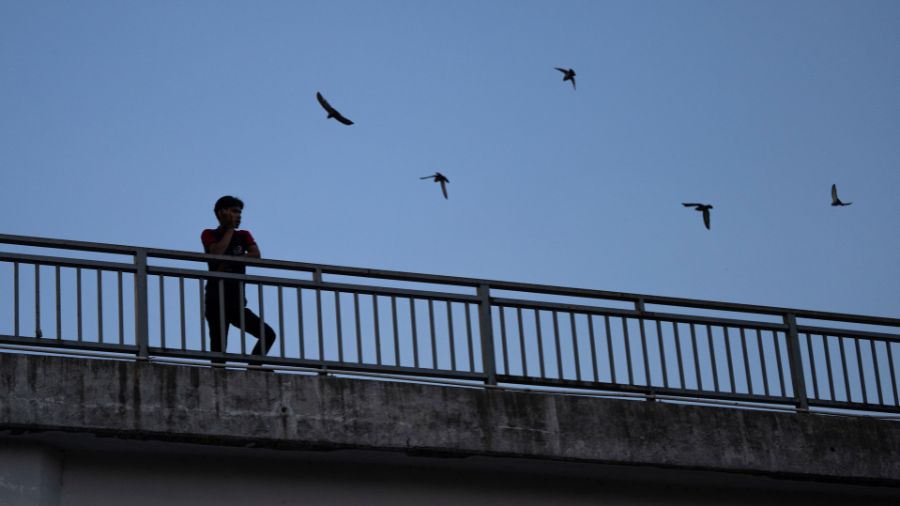 shoreline pedestrian bridge...