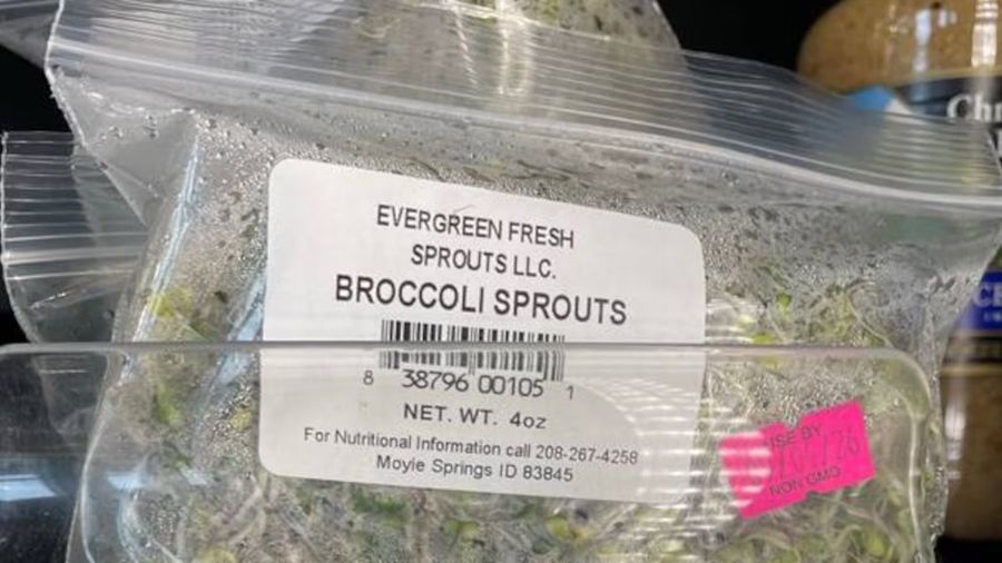salmonella evergreen broccoli...
