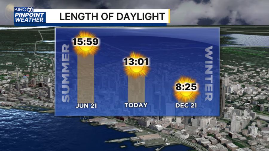 summer seattle sunlight...